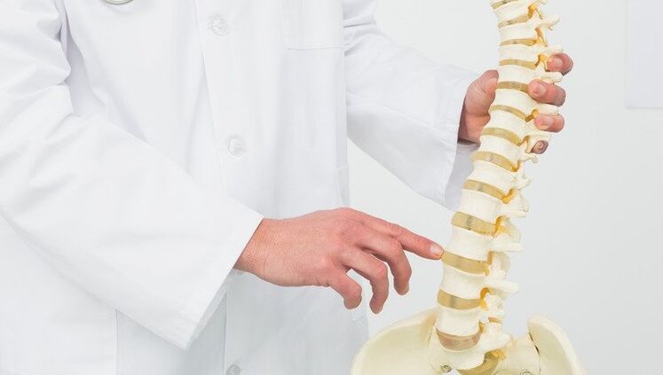 doctor demonstrates the process of development of osteochondrosis